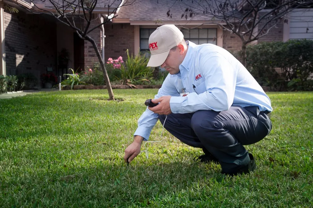Custom landscaping services near you in Tampa, FL by Apex Pest Control