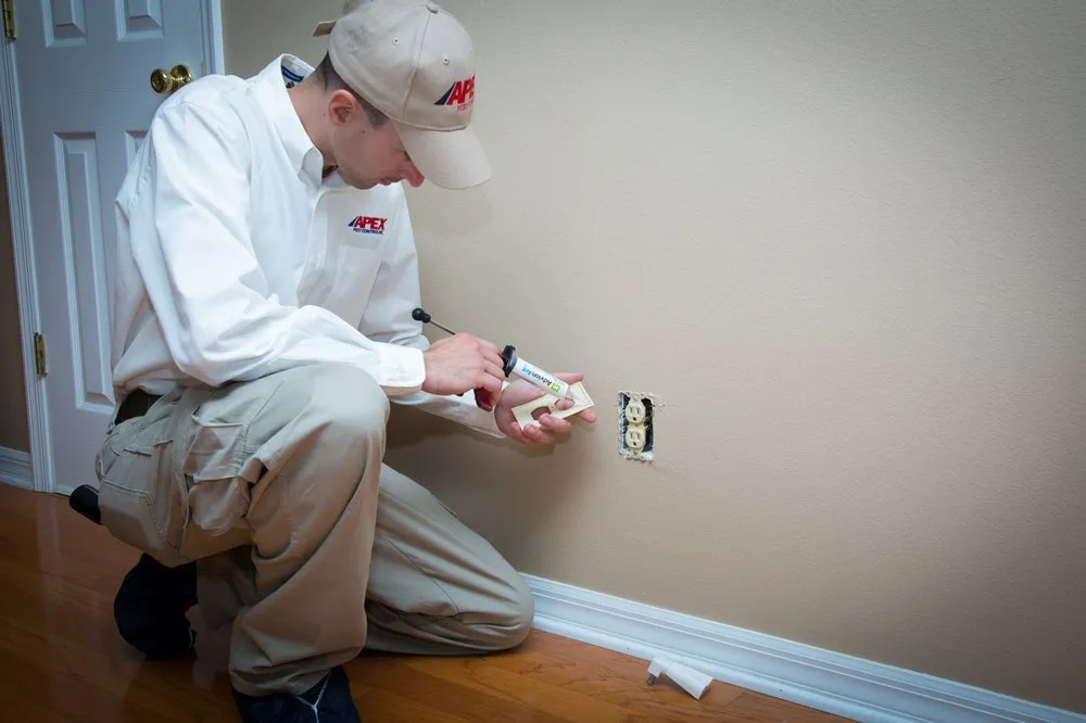 Professional outdoor landscaping experts serving Tampa, FL - Apex Pest Control