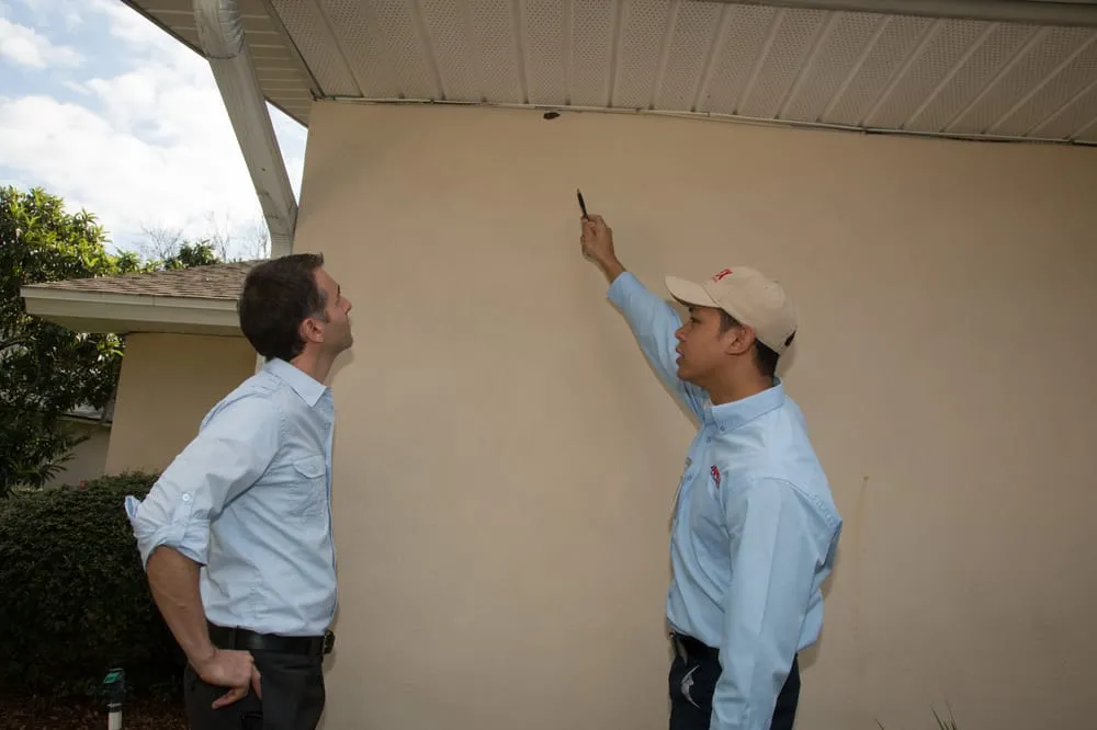 Local lawn mowing service in Tampa, FL - Apex Pest Control