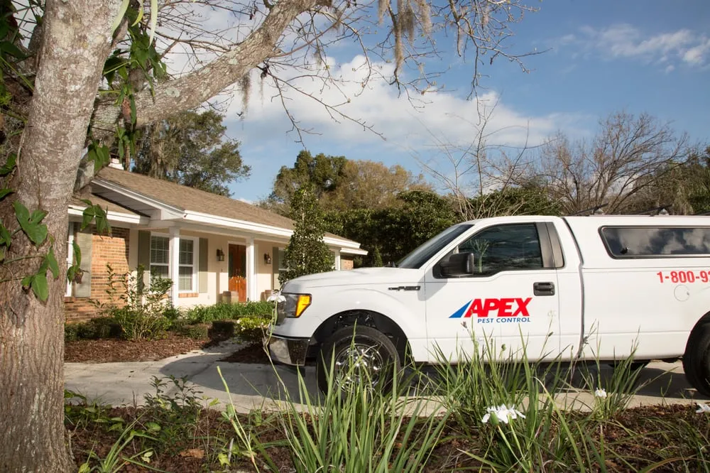 Custom lawn mowing service for residential properties in Tampa, FL by Apex Pest Control