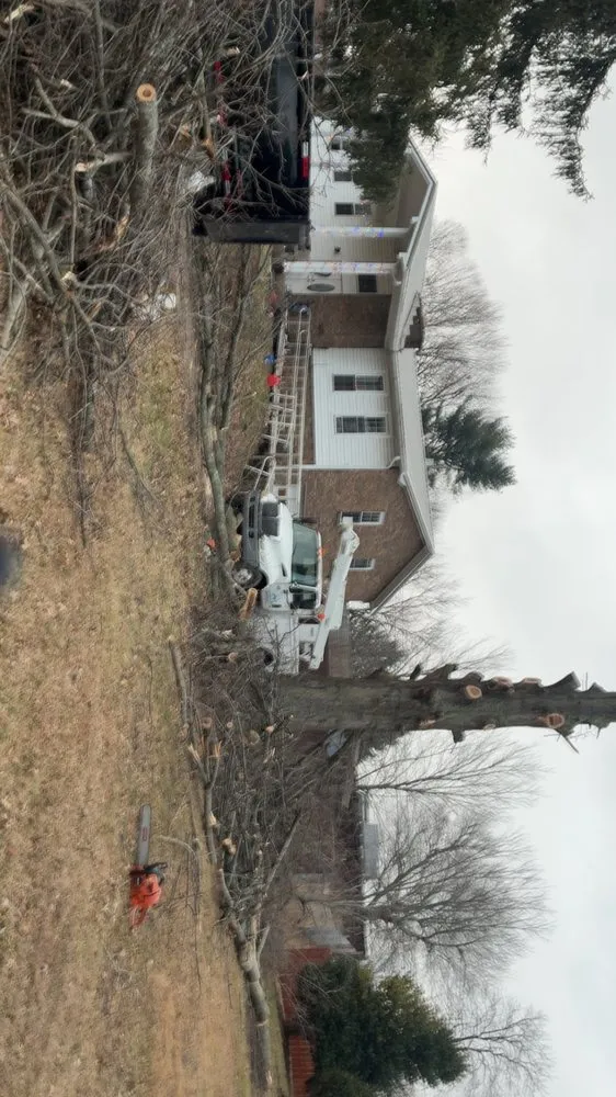 Local yard cleanup service for homes in Mammoth Cave, KY by Apex Project Solutions