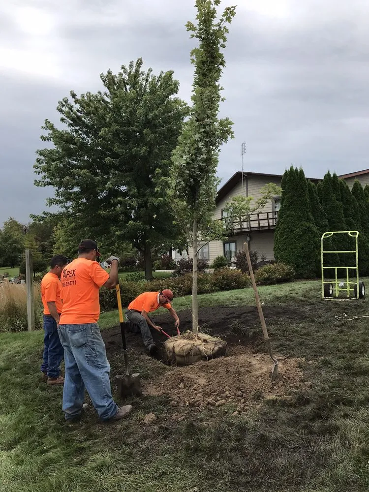 Custom landscape installation near you in Warsaw, IN by Apex Property Service