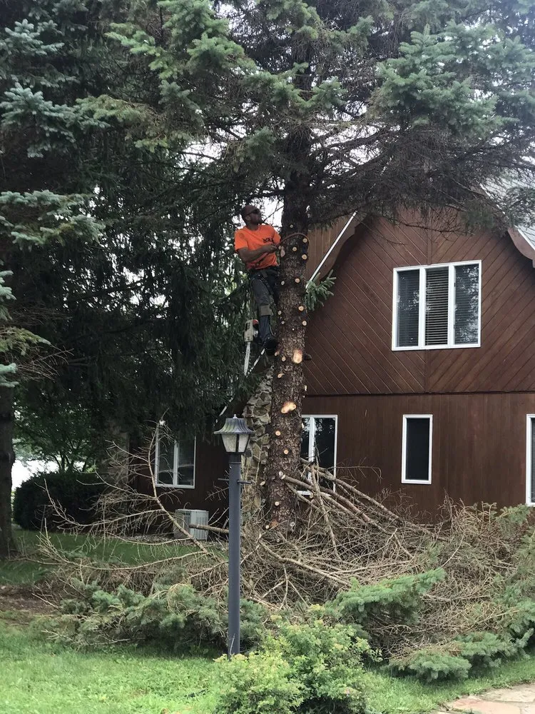 Professional garden landscaping in Warsaw, IN - Apex Property Service