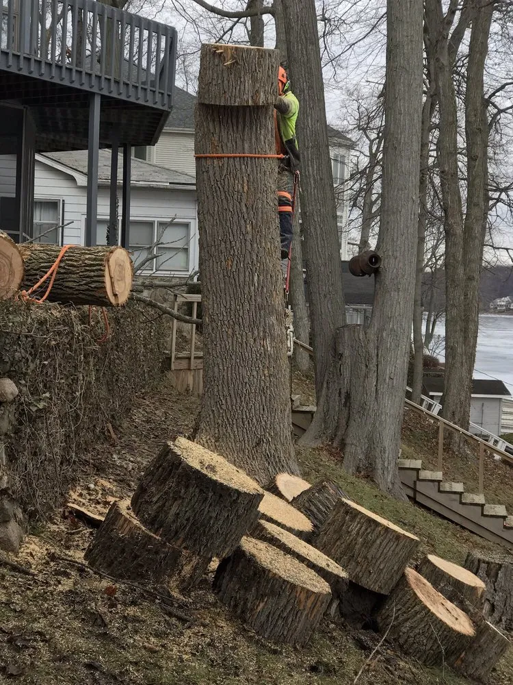 Local lawn care service near you across Warsaw, IN - Apex Property Service