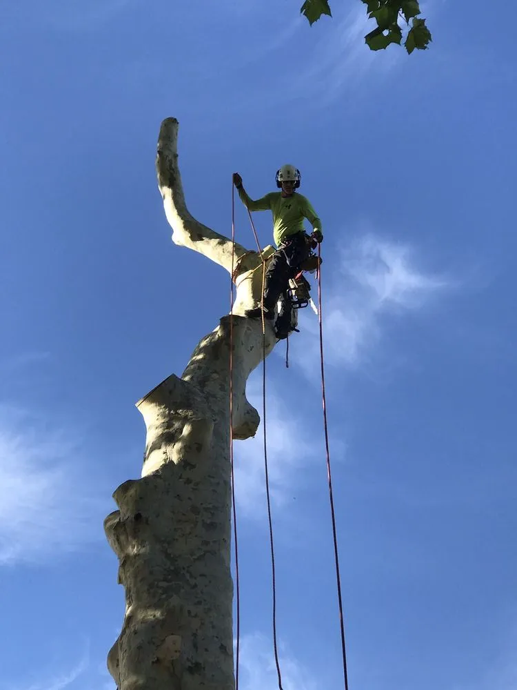 Top-rated outdoor landscaping in Warsaw, IN - Apex Property Service