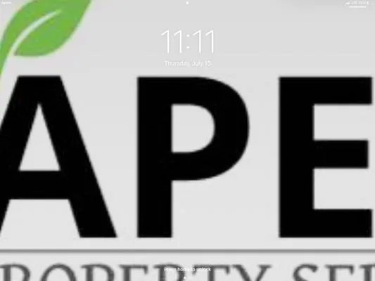 Apex Property Service