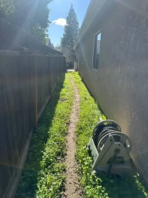 Affordable residential landscaping experts serving Fresno, CA - Apex Property Services