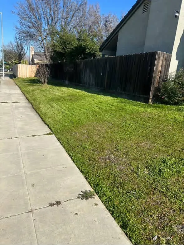 Trusted lawn care service in Fresno, CA - Apex Property Services