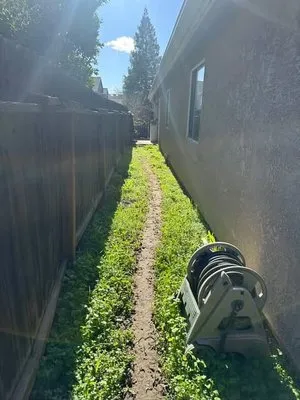 Apex Property Services Logo