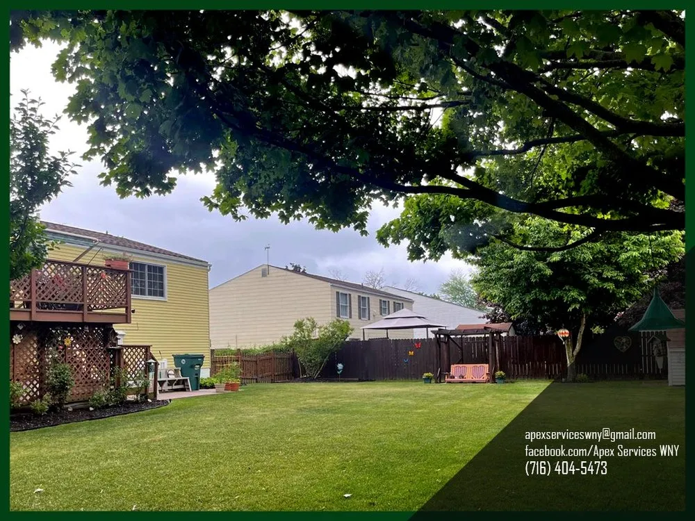 Reliable landscaping services in Buffalo, NY by Apex Services