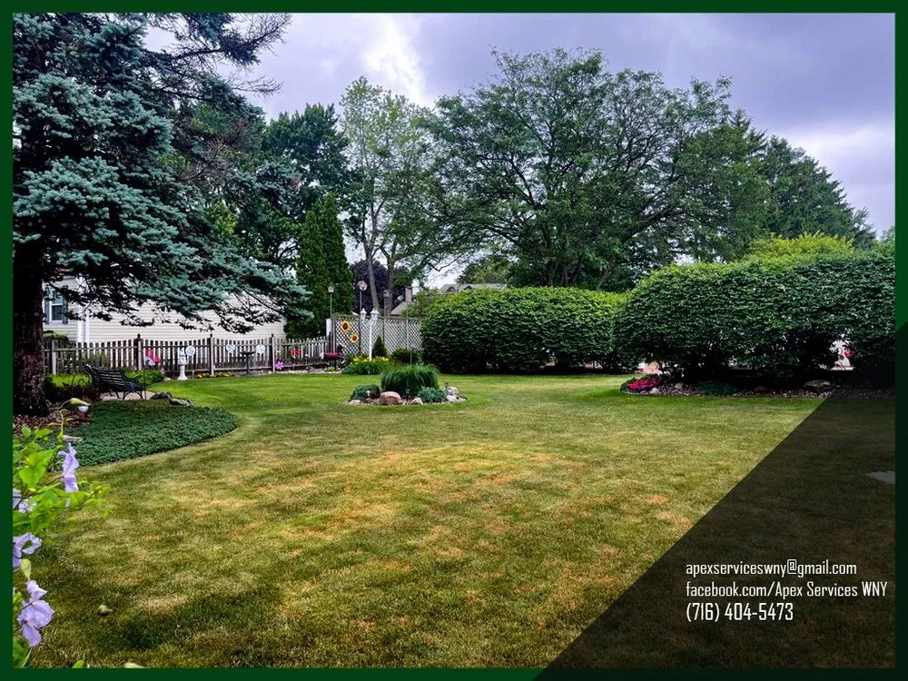 Professional landscaping services experts serving Buffalo, NY - Apex Services