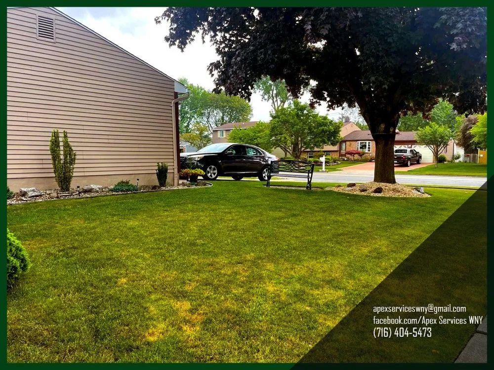 Trusted landscaping services in Buffalo, NY - Apex Services