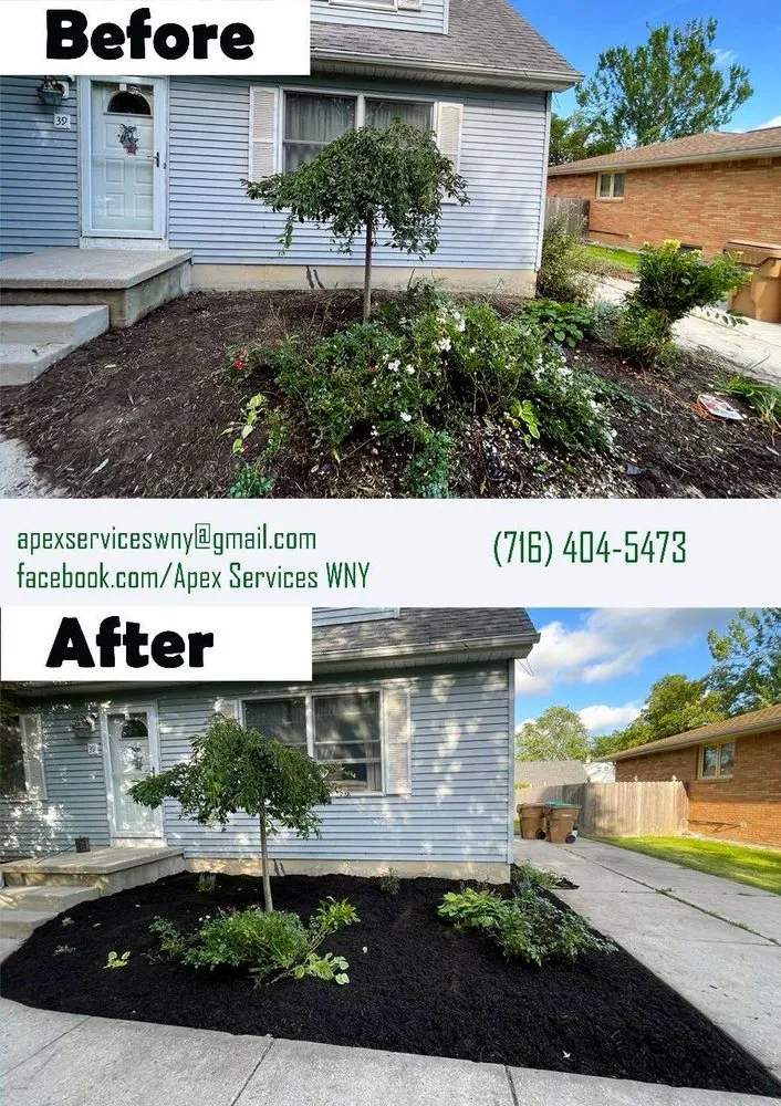 Custom landscaping services for residential properties across Buffalo, NY - Apex Services
