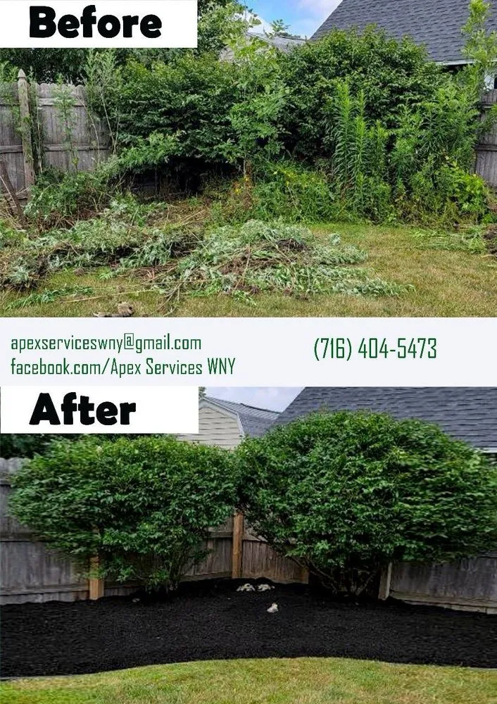 Professional yard maintenance with custom design across Buffalo, NY - Apex Services