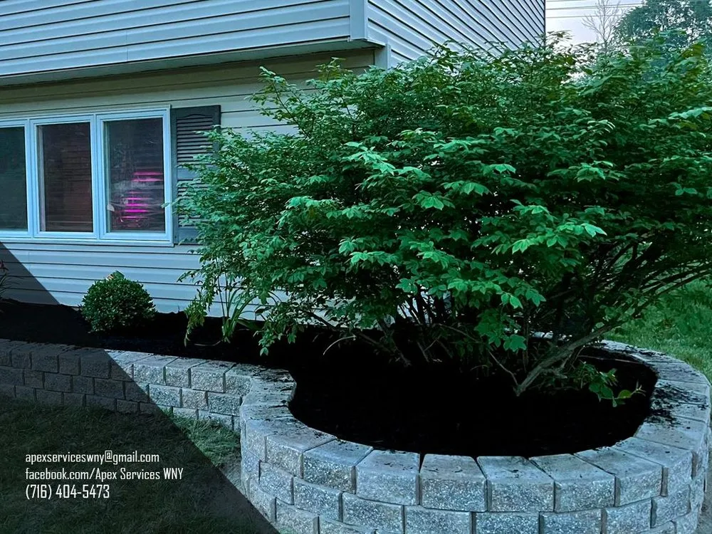 Top-rated outdoor landscaping experts serving Buffalo, NY - Apex Services