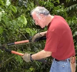 Affordable landscaping services experts serving New Haven, IN - Apex Tree & Landscaping Services