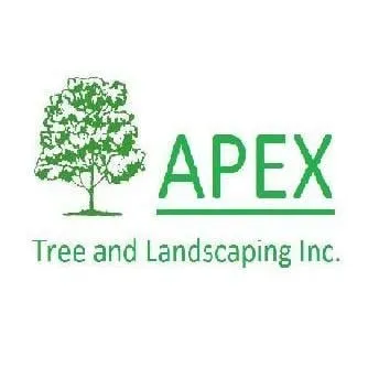Affordable yard cleanup service in New Haven, IN - Apex Tree & Landscaping Services