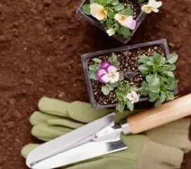 Custom lawn mowing service for year-round maintenance across New Haven, IN - Apex Tree & Landscaping Services