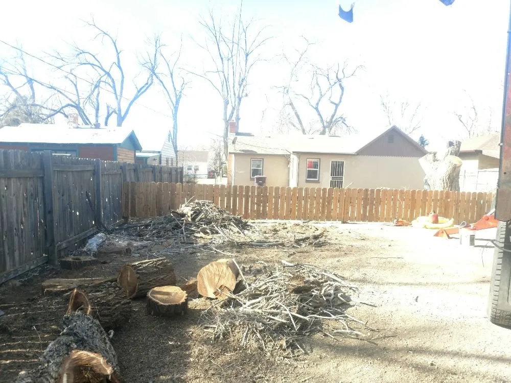 Trusted residential landscaping in Pueblo, CO - Apex Tree And Crane Service