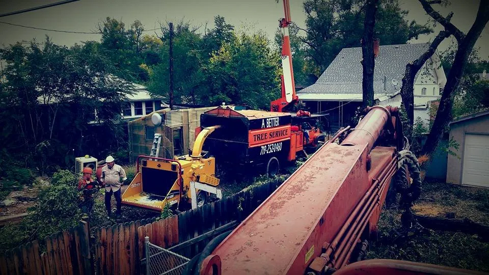 Expert garden landscaping in Pueblo, CO by Apex Tree And Crane Service