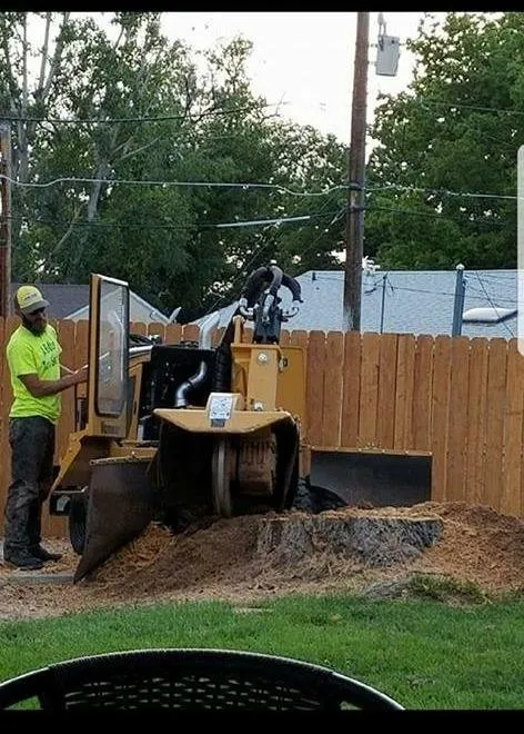 Top-rated landscaping services in Pueblo, CO - Apex Tree And Crane Service