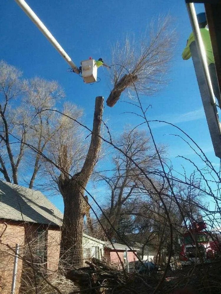 Local outdoor landscaping in Pueblo, CO - Apex Tree And Crane Service