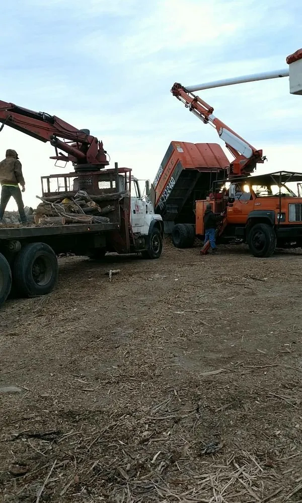 Trusted landscaping services experts serving Pueblo, CO - Apex Tree And Crane Service