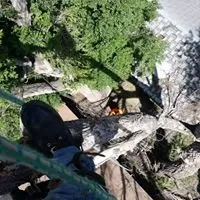 Local landscaping services in Pueblo, CO - Apex Tree And Crane Service