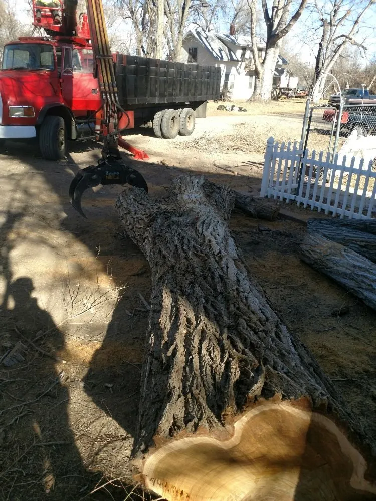 Expert residential landscaping for residential properties in Pueblo, CO by Apex Tree And Crane Service