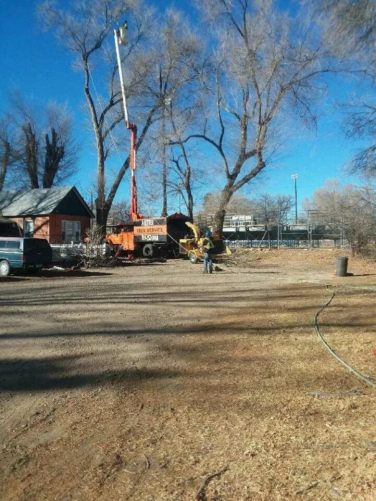 Professional outdoor landscaping experts serving Pueblo, CO - Apex Tree And Crane Service