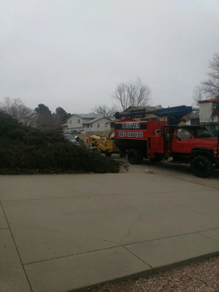 Custom yard cleanup service experts serving Pueblo, CO - Apex Tree And Crane Service