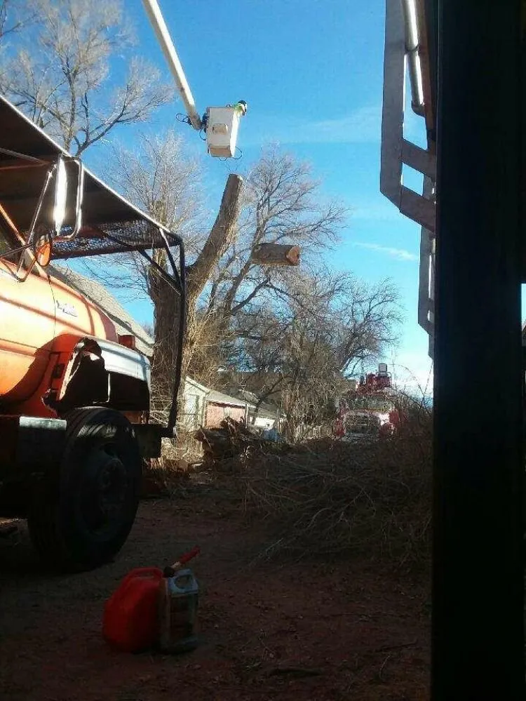 Expert landscaping services experts serving Pueblo, CO - Apex Tree And Crane Service