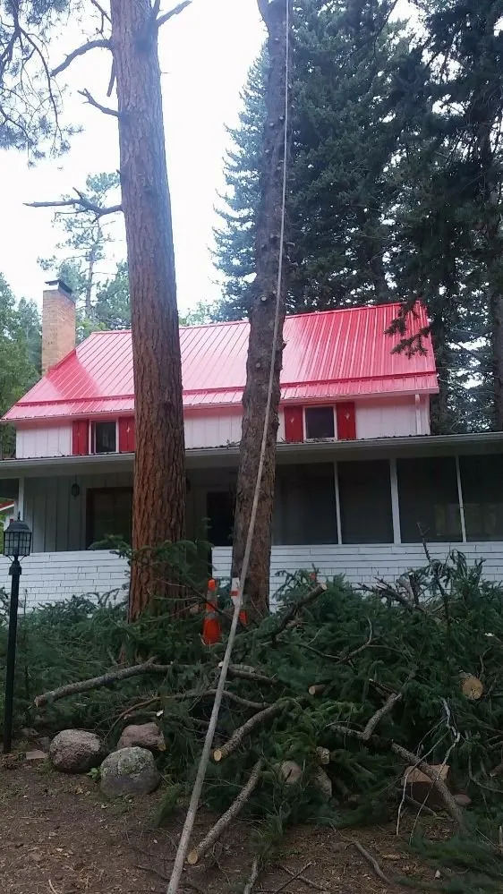 Reliable residential landscaping experts serving Pueblo, CO - Apex Tree And Crane Service