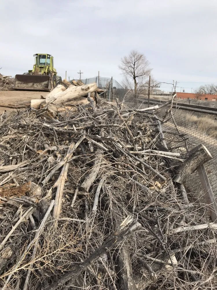 Affordable yard cleanup service experts serving Pueblo, CO - Apex Tree And Crane Service