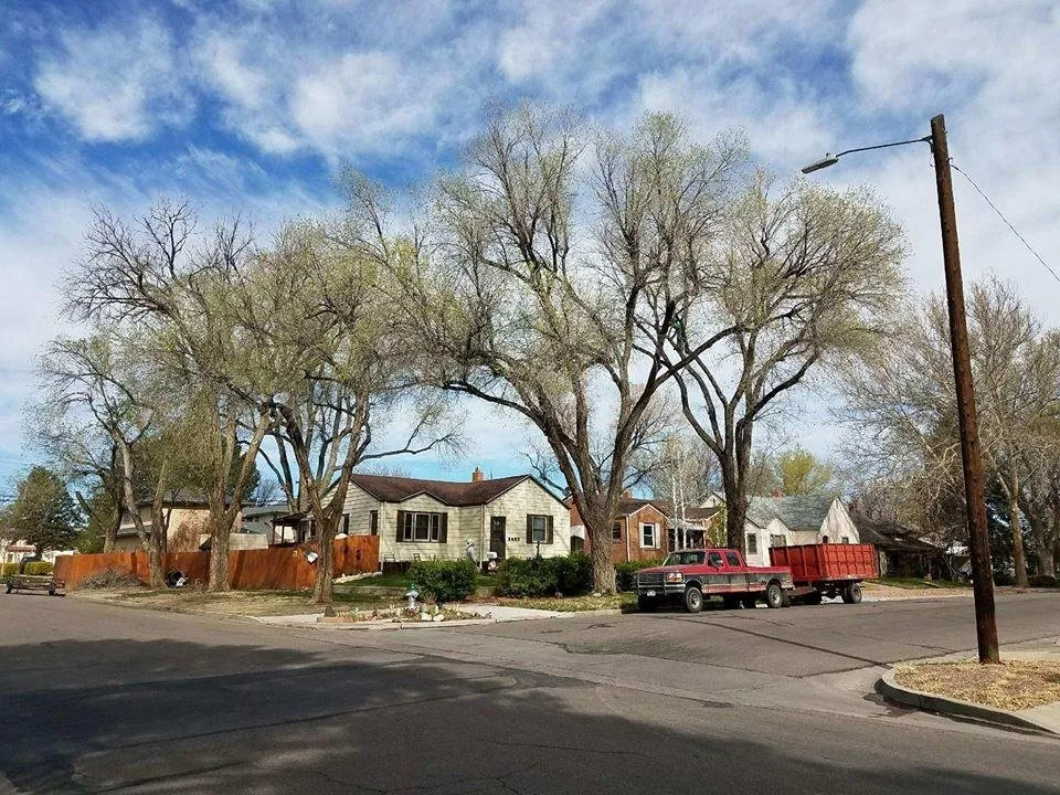 Local lawn mowing service in Pueblo, CO - Apex Tree And Crane Service