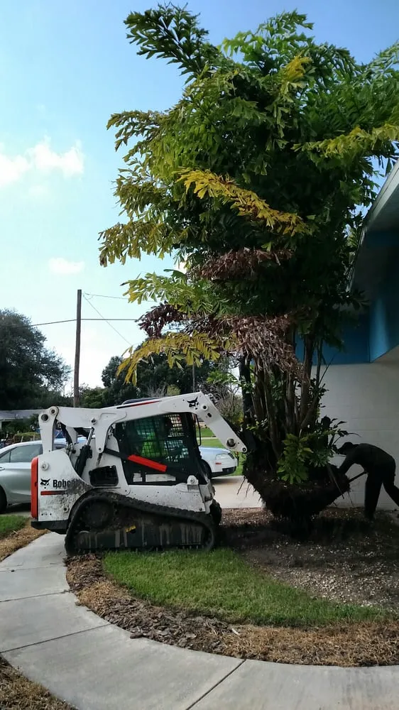 Reliable lawn care service in Sarasota, FL - Apex Tree and Landscape