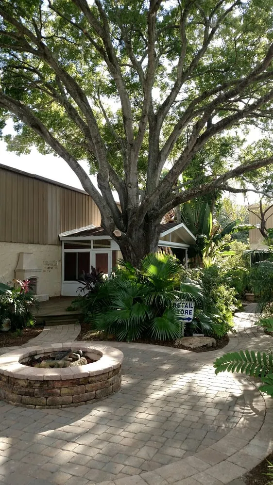 Local lawn care service in Sarasota, FL - Apex Tree and Landscape