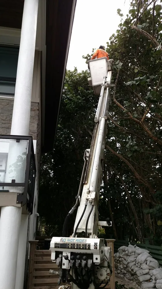 Local landscape design in Sarasota, FL - Apex Tree and Landscape