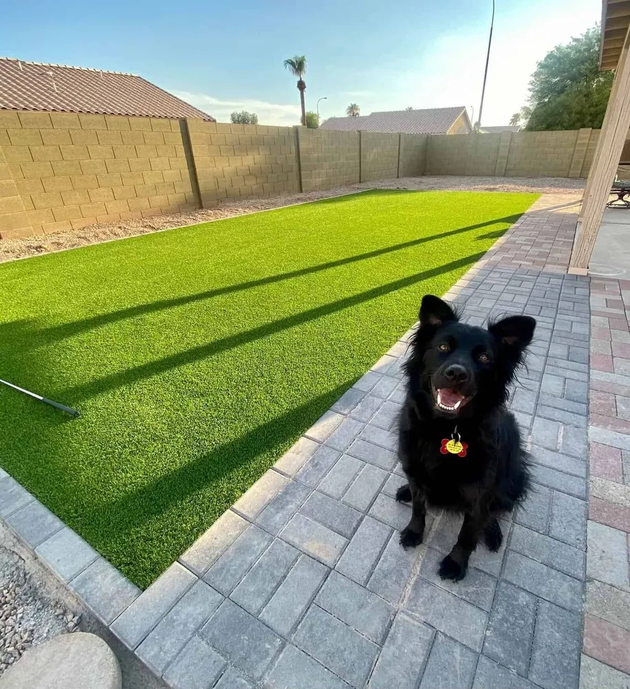 Expert landscape design for year-round maintenance in Tucson, AZ by Apex Turf