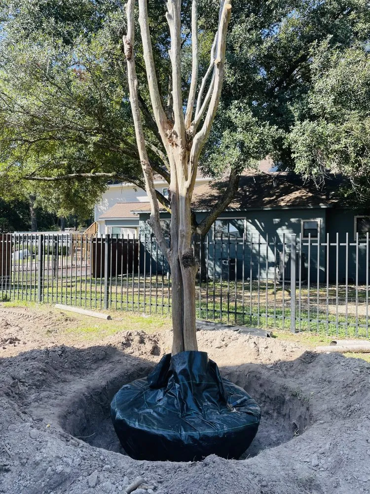 Reliable outdoor landscaping for beautiful yards across Houston, TX - Apexx foundation