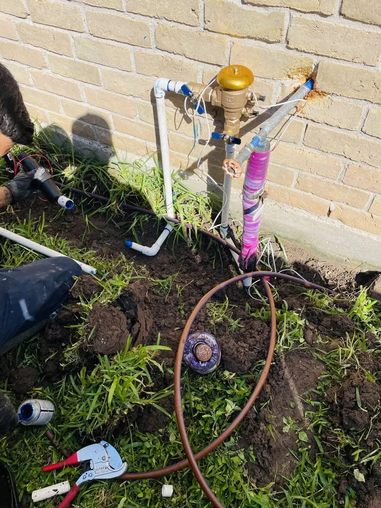 Professional landscape installation in Houston, TX - Apexx foundation