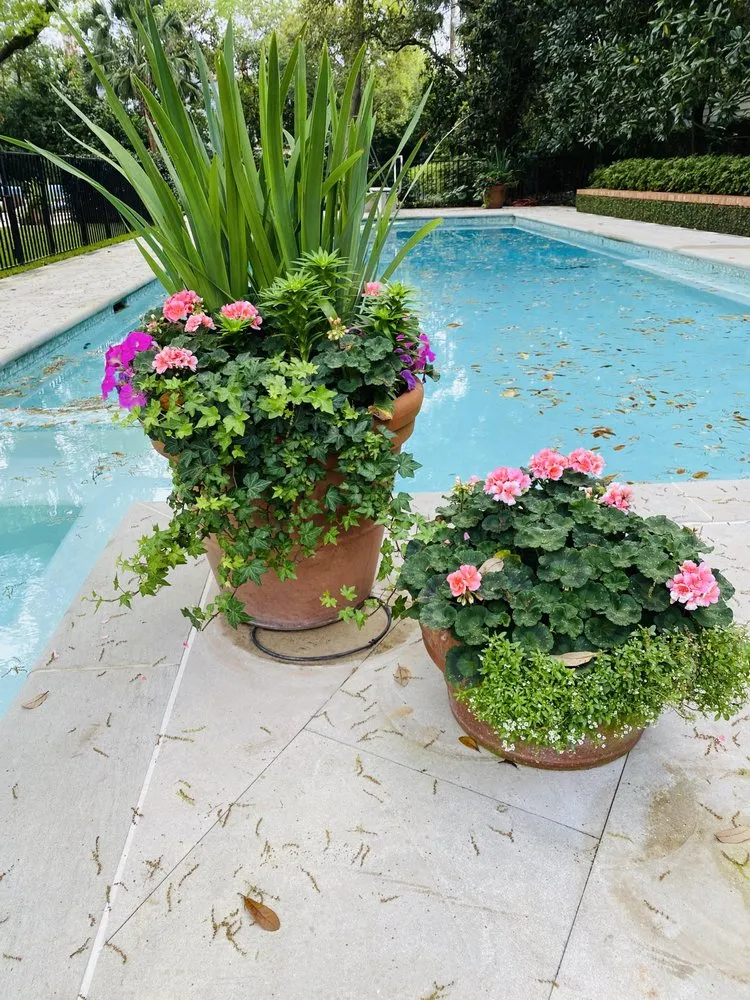 Professional yard maintenance experts serving Houston, TX - Apexx foundation