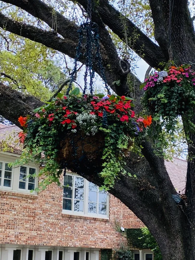 Trusted yard maintenance for homes in Houston, TX by Apexx foundation