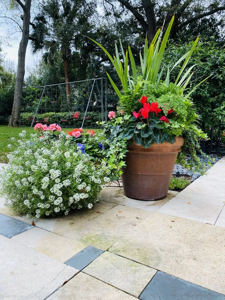 Professional lawn care service with custom design in Houston, TX by Apexx foundation