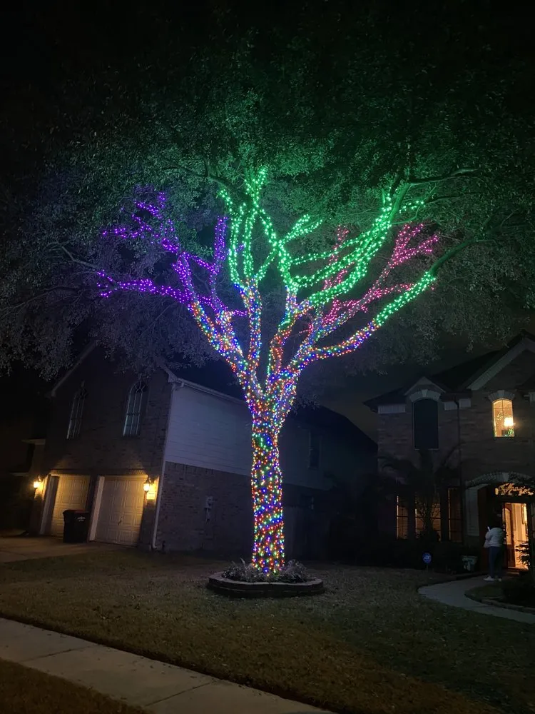 Reliable garden landscaping in Houston, TX by Apexx foundation