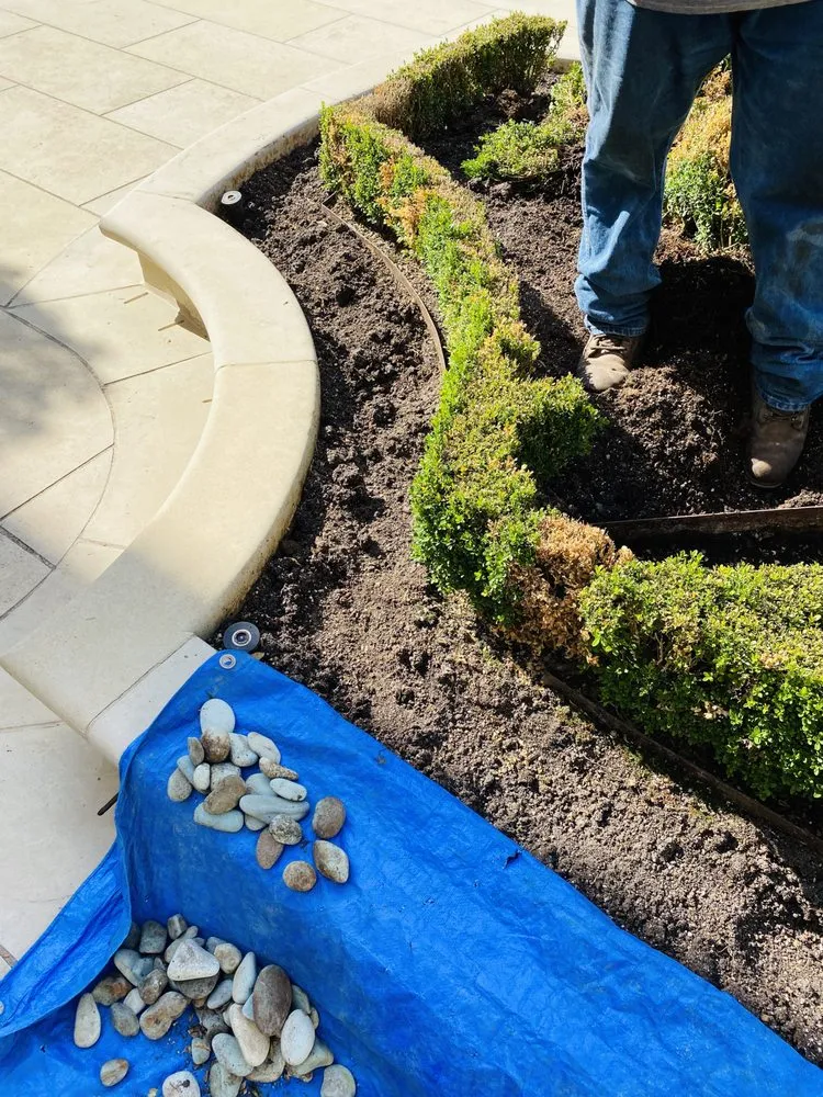 Custom lawn care service experts serving Houston, TX - Apexx foundation