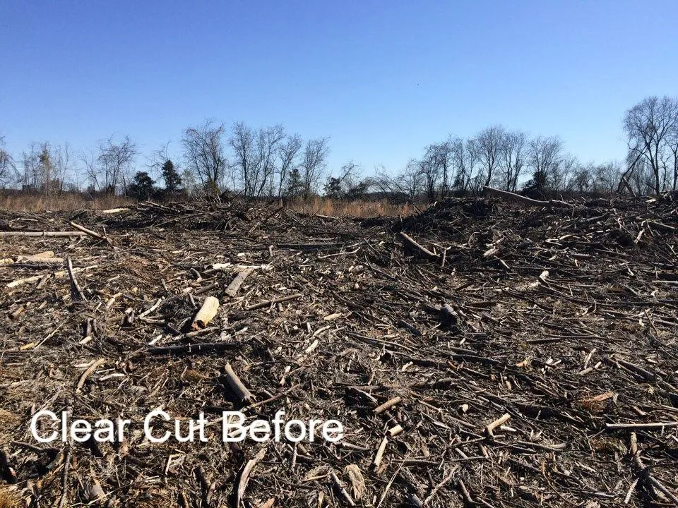 Reliable residential landscaping experts serving Reading, PA - Apexx Industries