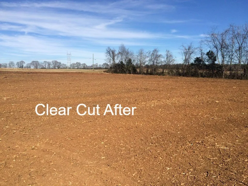 Top-rated landscaping services experts serving Reading, PA - Apexx Industries