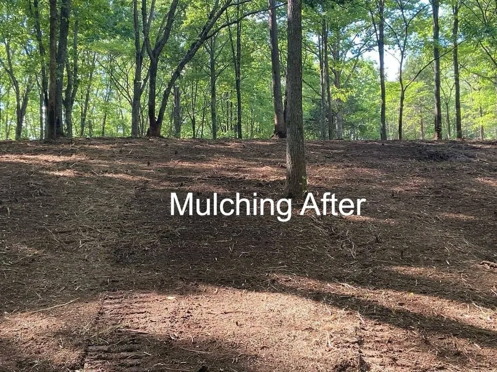 Affordable residential landscaping in Reading, PA by Apexx Industries