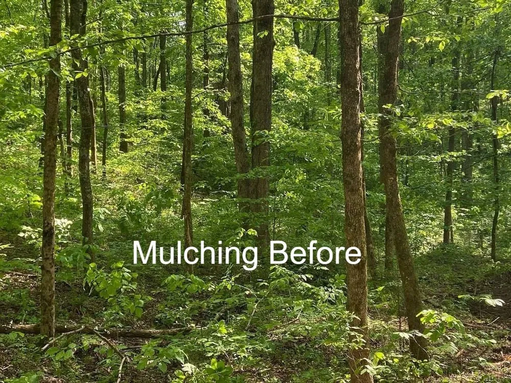 Top-rated landscape design for outdoor upgrades across Reading, PA - Apexx Industries